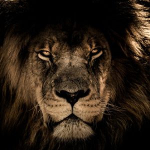 foto de perfil de rb0adm