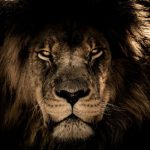 foto de perfil de rb0adm